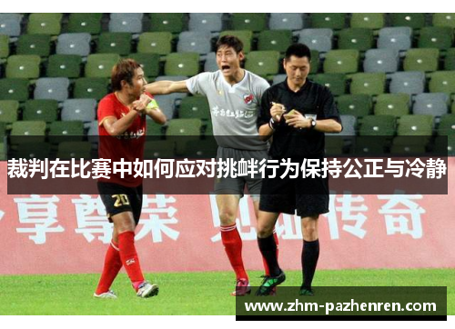 裁判在比赛中如何应对挑衅行为保持公正与冷静